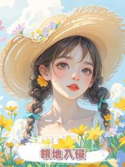 領地入侵