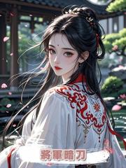 將軍暗刀